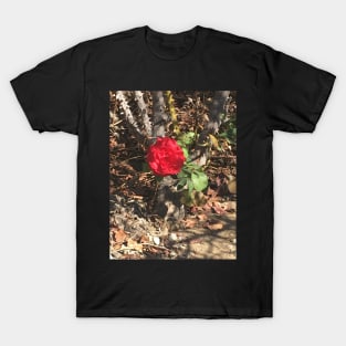 Spiky Rose T-Shirt